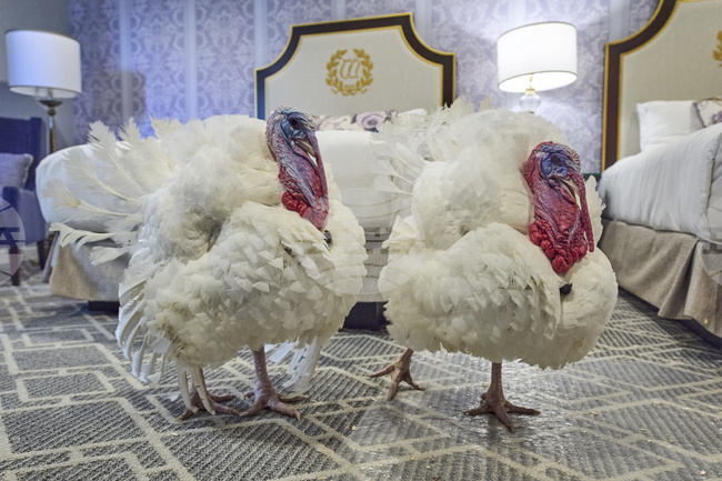 APTOPIX Trump Turkey Pardon