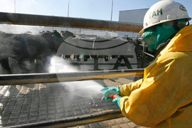 Beef Prices Things to Know