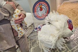 Trump Turkey Pardon