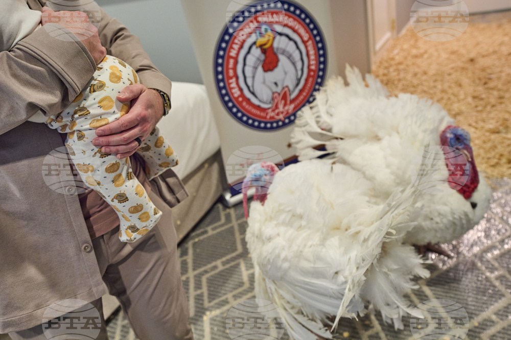 Trump Turkey Pardon