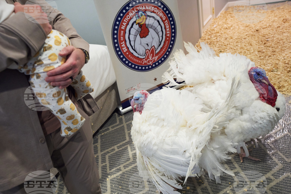 Trump Turkey Pardon