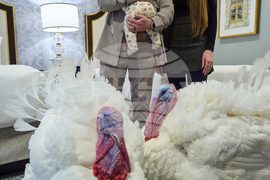 Trump Turkey Pardon