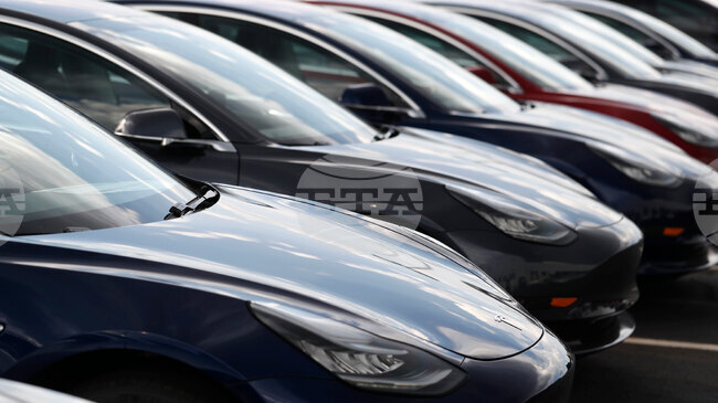 Регистрациите на нови автомобили на „Тесла“ спадат на ключови европейски пазари през ноември, но в Норвегия растат рекордно