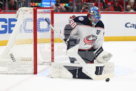 Blue Jackets Capitals Hockey