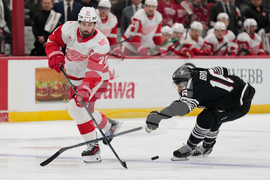 Red Wings Devils Hockey