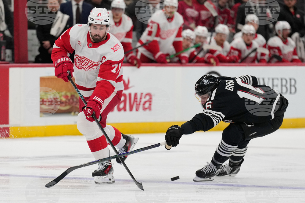 Red Wings Devils Hockey