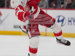 Red Wings Devils Hockey