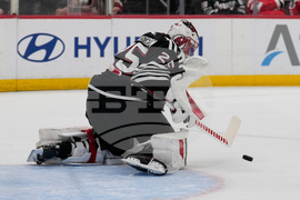 Red Wings Devils Hockey