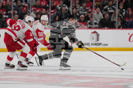 Red Wings Devils Hockey