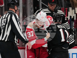 Red Wings Devils Hockey