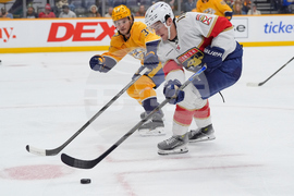 Panthers Predators Hockey