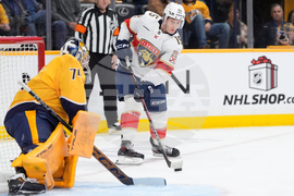 Panthers Predators Hockey