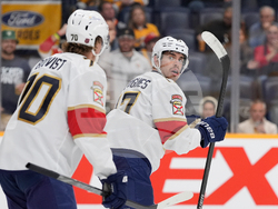 Panthers Predators Hockey