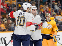 Panthers Predators Hockey