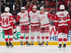 Red Wings Devils Hockey