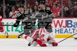 Red Wings Devils Hockey