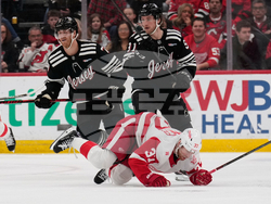 Red Wings Devils Hockey