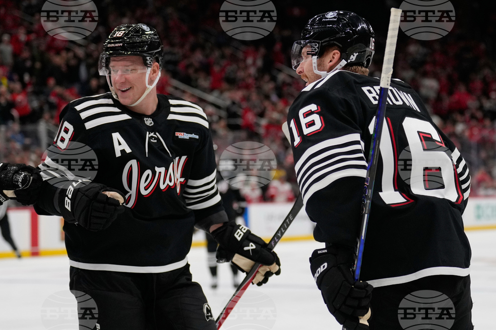 Red Wings Devils Hockey