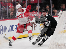 Red Wings Devils Hockey