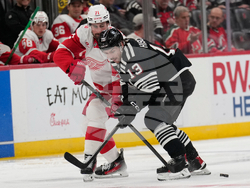 Red Wings Devils Hockey