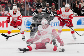 Red Wings Devils Hockey