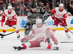 Red Wings Devils Hockey