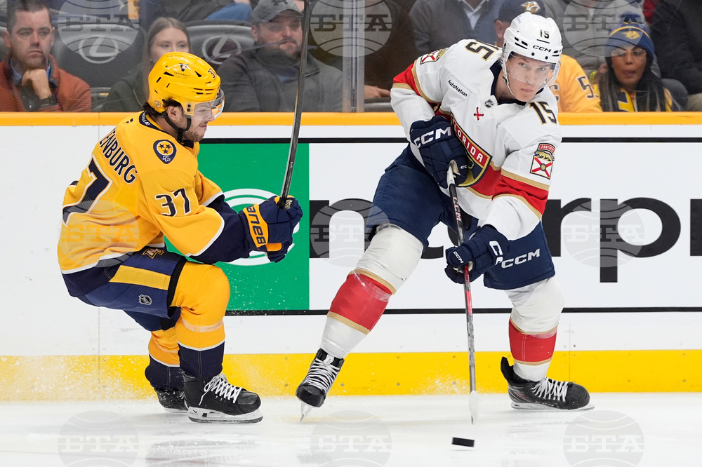 Panthers Predators Hockey