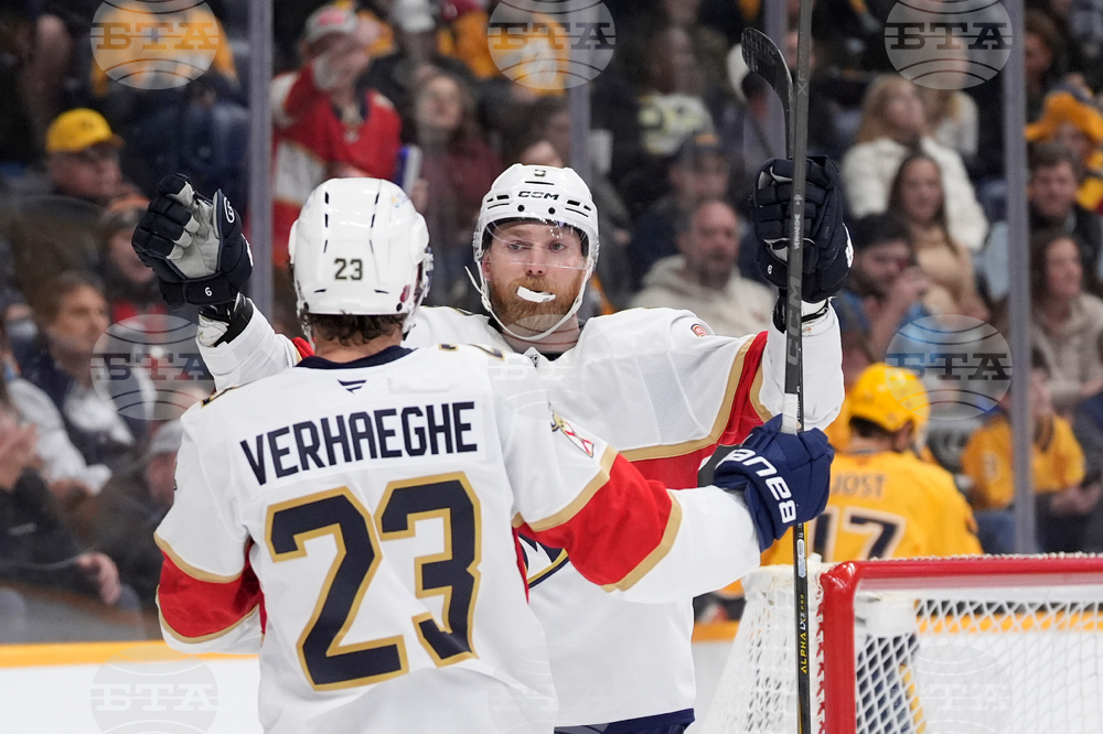 Panthers Predators Hockey