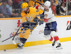 Panthers Predators Hockey