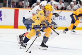 Panthers Predators Hockey