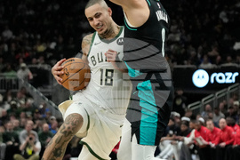 Trail Blazers Bucks Basketball