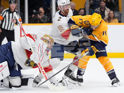 Panthers Predators Hockey