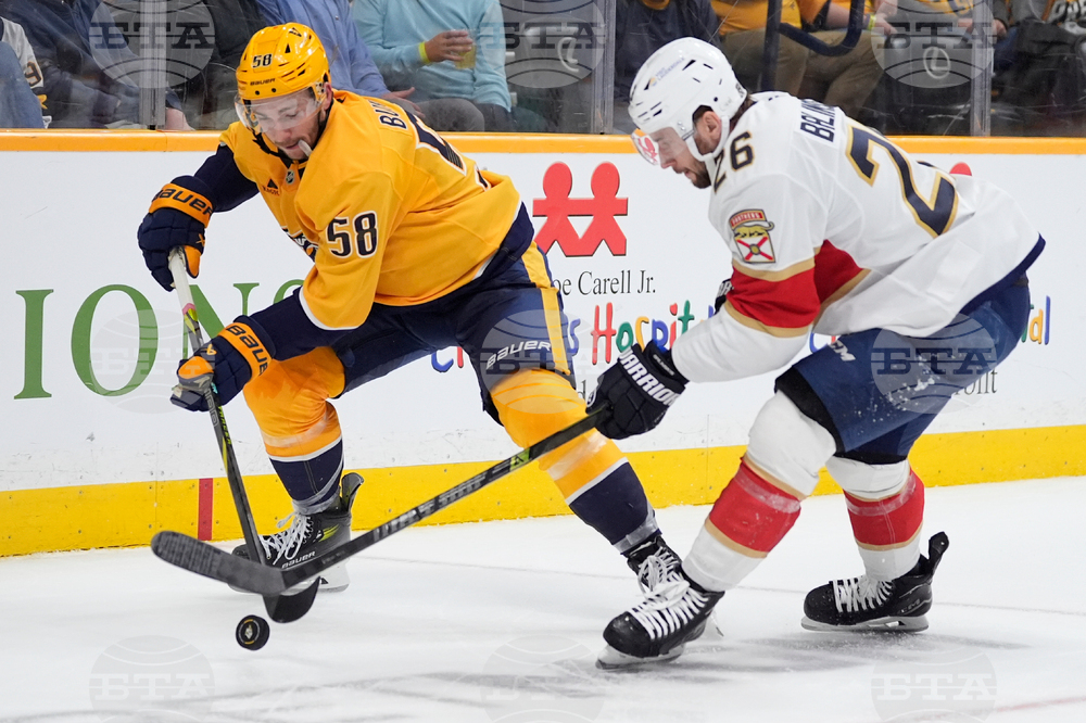 Panthers Predators Hockey