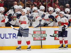 Panthers Predators Hockey