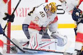 Panthers Predators Hockey