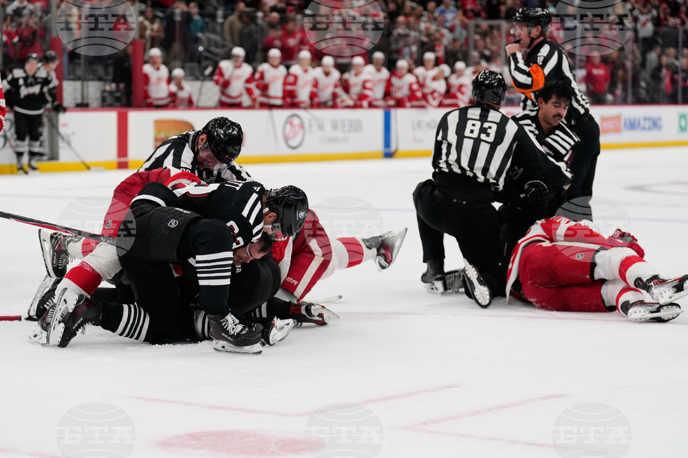 Red Wings Devils Hockey