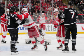 Red Wings Devils Hockey