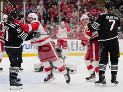 Red Wings Devils Hockey