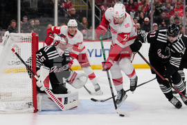 Red Wings Devils Hockey