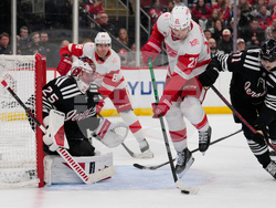 Red Wings Devils Hockey