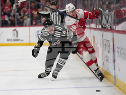 Red Wings Devils Hockey