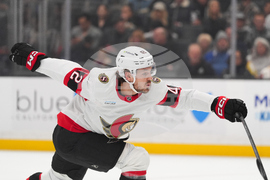 Senators Kings Hockey