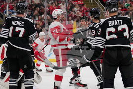 Red Wings Devils Hockey