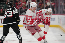 Red Wings Devils Hockey