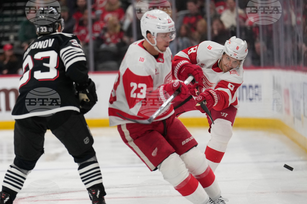 Red Wings Devils Hockey