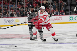 Red Wings Devils Hockey