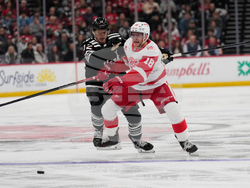 Red Wings Devils Hockey