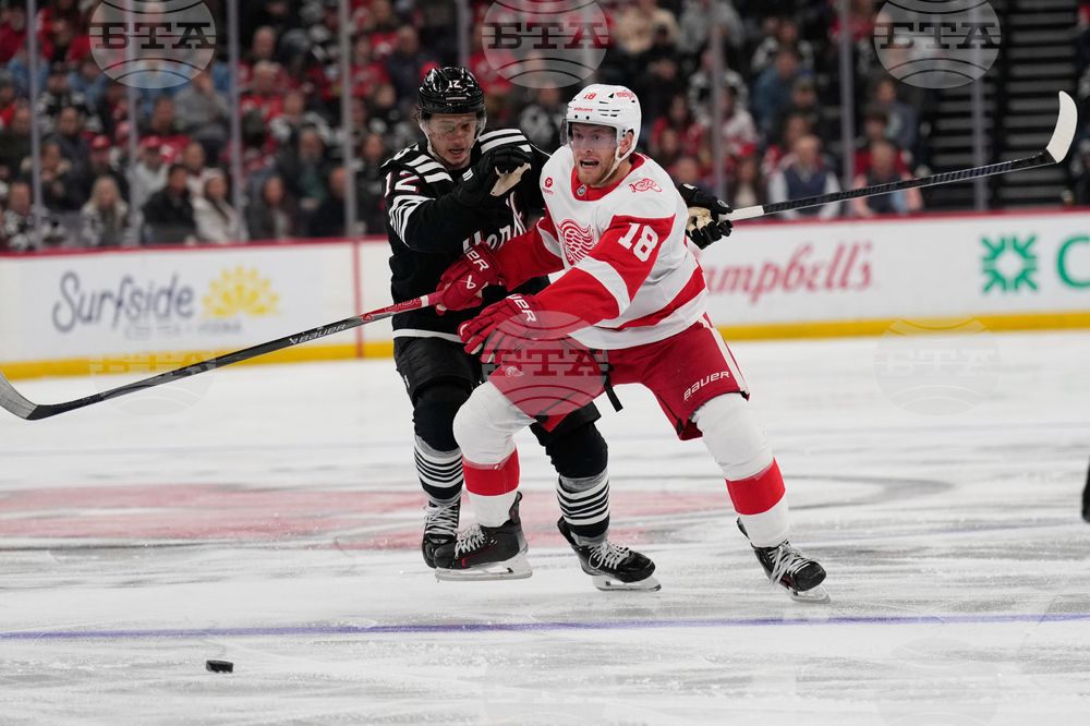 Red Wings Devils Hockey