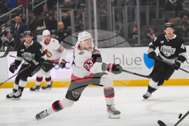 Senators Kings Hockey