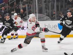 Senators Kings Hockey